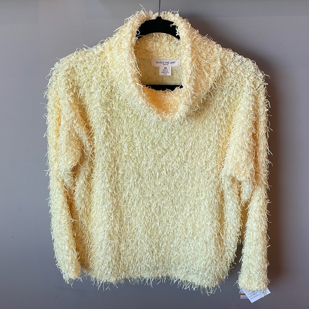 💖HOST PICK💖NWT - Skye’s The Limit Crewneck Sweater
